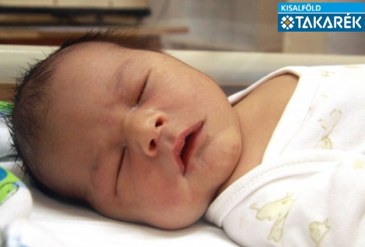 Nagy Richárd László, Mosonmagyaróvár