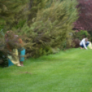 Szemét szedés (Fotó: Nagy Mária)