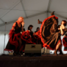 Első Engler Családi Nap (Fotó: Horváth Attila)