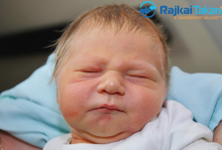 Bugár Ádám, 3800 gr. Halászi