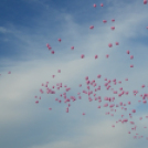 Lajta hídi séta 2015 (fotó: Patács Judit)