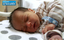 Németh Dominik, Levél