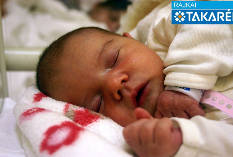 Andorka Léna, Bősárkány