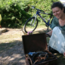 IX. Szigetköz ízei, Vármegyék borai Fesztivál (fotó: Stipkovits Veronika)