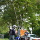 Street Fighter Show Jánossomorján Szöllősi Pepével