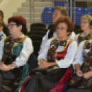 Dan Hrvata, Horvát Nap