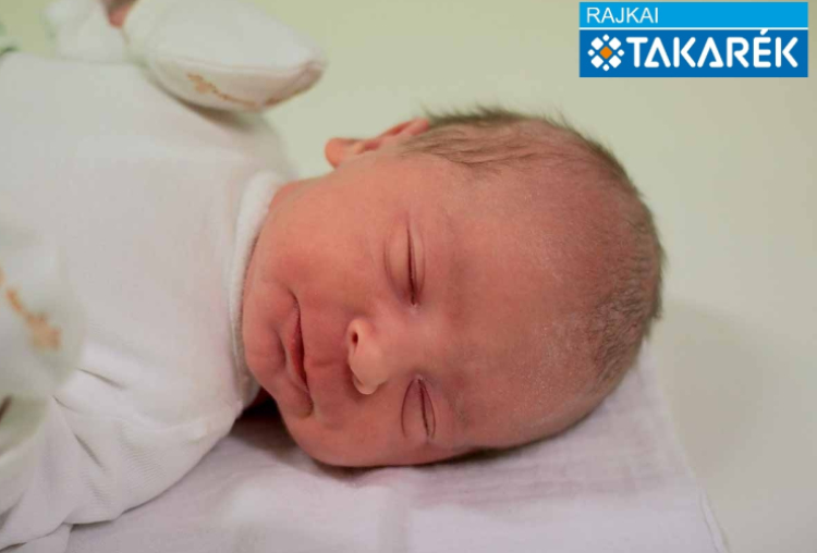 Kuzmics Ákos, Kimle