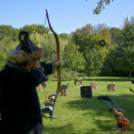 XII. Szigetköz ízei, Vármegye borai Fesztivál 2. nap