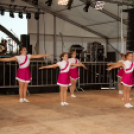 Szigetköz ízei, Vármegye borai Fesztivál - 1 nap