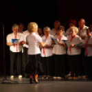 Mozgáskorlátozottak Mosonmagyaróvári Egyesületének 35 éves jubileumi gyűlése (Fotó: Stipkovits Veronika)