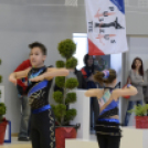 VII. Óvár-Kupa Akrobatikus Rock 'n' Roll Területi Pontszerző és jótékonysági táncverseny