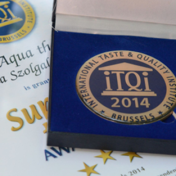 Friss Fesztivál 2014. /Vasárnap/