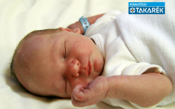 Szeberin Hunor, Mosonmagyaróvár