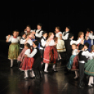 Nyárcsalogató (Fotó: Nagy Mária)