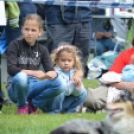 CAC kutyakiállítás (Fotó: Nagy Mária)