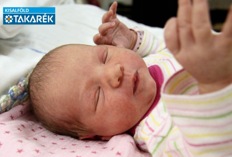 Németh Liza, Mosonmagyaróvár