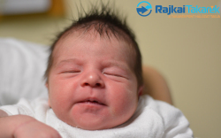 Farkas Tamás, 3420 gr. Egyed