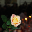 Mosoni Polgári Kör Bálja (Fotó: Nagy Mária)