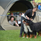 CAC kutyakiállítás (Fotó: Nagy Mária)