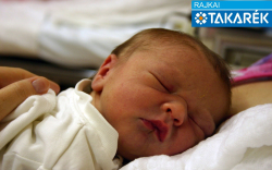 Susovits Baltazár, Jánossomorja