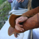 IX. Szigetköz ízei, Vármegyék borai Fesztivál (fotó: Stipkovits Veronika)