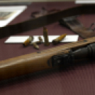 In memoriam 1956 - Hivatalos városi ünnepség 