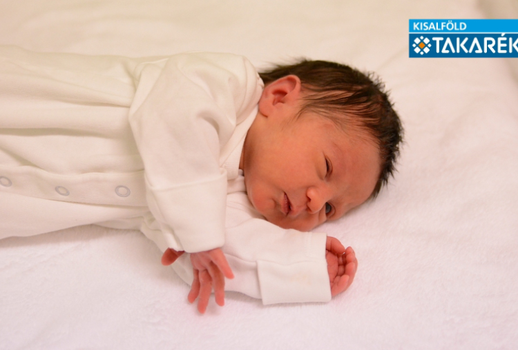 Tóth-Markó Rozina, Mosonmagyaróvár