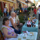 Virágzó Város Mosonmagyaróvár 1. nap KULT-UTCA (Fotó: Bánhegyi István)