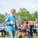 CAC kutyakiállítás (Fotó: Nagy Mária)