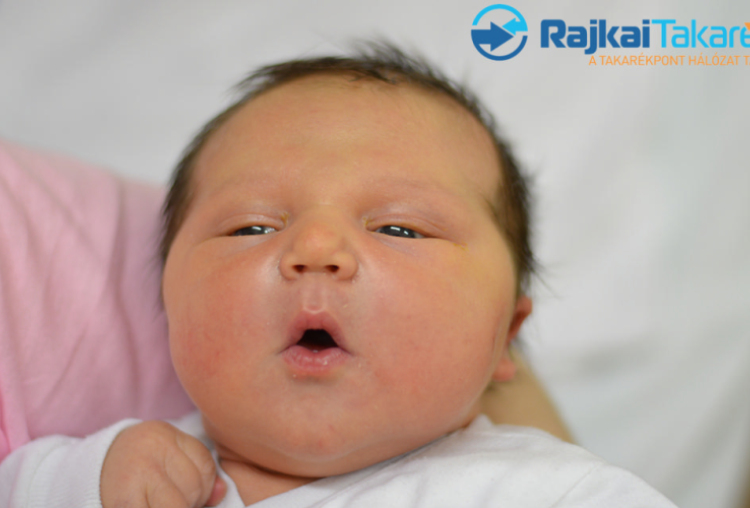 Köplinger Nikolasz, 4890 gr. Móvár