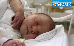 Böcskör Luca, Kapuvár