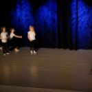 Jótékonysági műsor - Fehér és Máltai Szeretetszolgálat az Éltes iskola javára (Fotó: Horváth Attila)