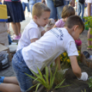 VII. Apró kezek, csodakertek Gyermek Kertépítő verseny