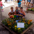 Apró Kezek, Csodakertek