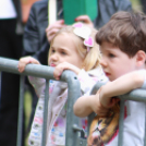  Városi Majális 2017 