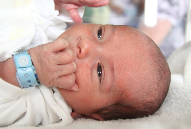 Szilágyi Botond, Farád