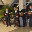 Dan Hrvata, Horvát Nap