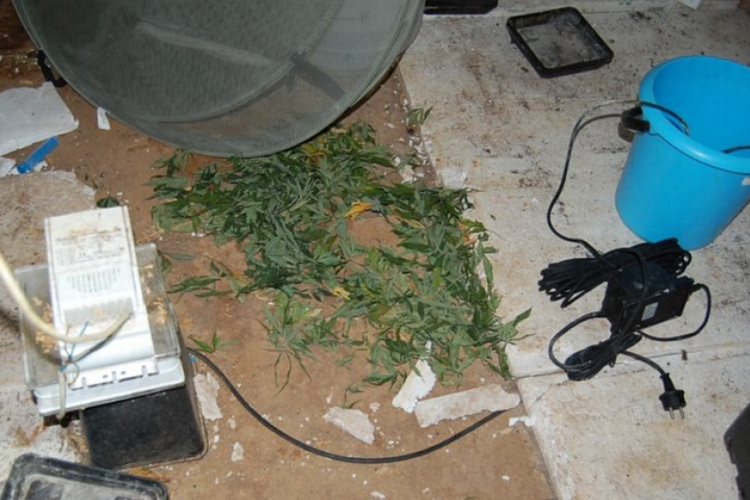 Szüretelés után bukott le