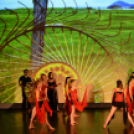 FlexArt Dance (Fotó: Stipkovits Veronika és Bánhegyi István)