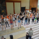 Nyárcsalogató (Fotó: Nagy Mária)