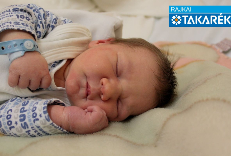 Németh Bulcsú, Lébény