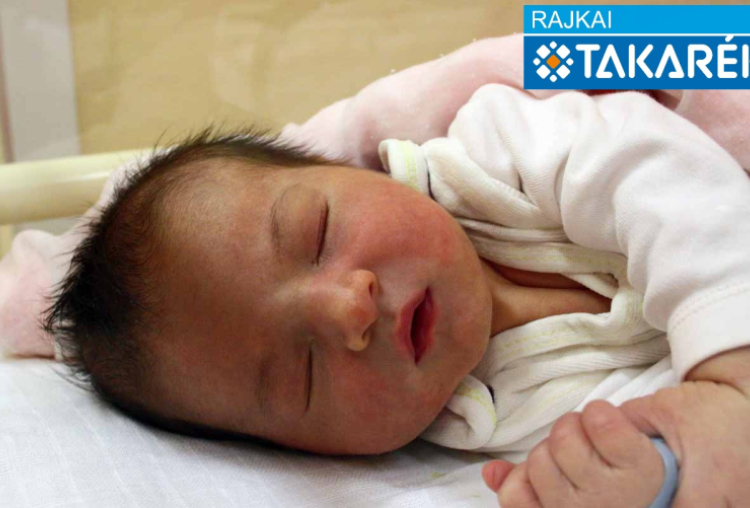 Pap László, Bősárkány