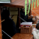 Erzsébet napi vigalom