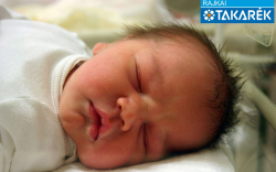 Tóth Dávid, Mosonmagyaróvár