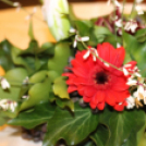 1956-os szellemi vetélkedő