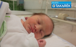 Hóni Tamara, Mosonmagyaróvár