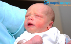 Hédl Kevin, 2400 gr. Lipót