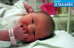 Jung Lelle Iringó, Mosonmagyaróvár