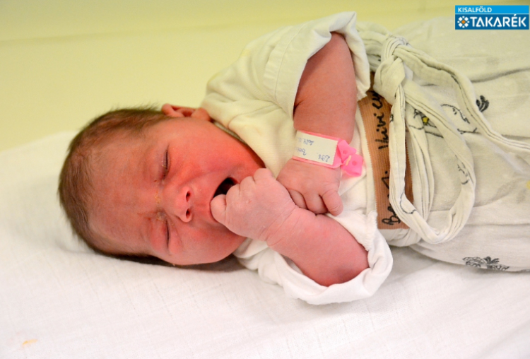 Berezi Vivien, Dunasziget