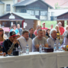 Szigetköz ízei, vármegye borai fesztivál / VÁRMEGYE SZÉPE - VÁRMEGYE HANGJA (Fotó: Horváth Attila)